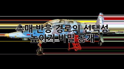 촉매 반응 경로의 선택성 높이기: 비밀 공개!